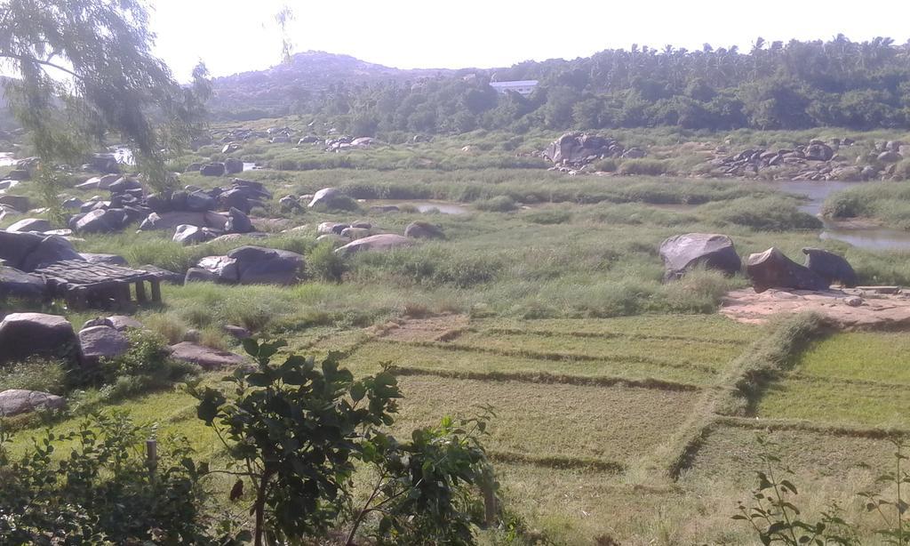 Golden Garden Hampi Bagian luar foto